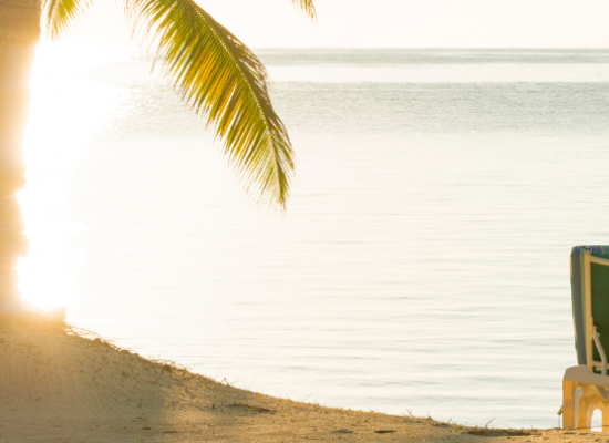 jarys - banner - foto